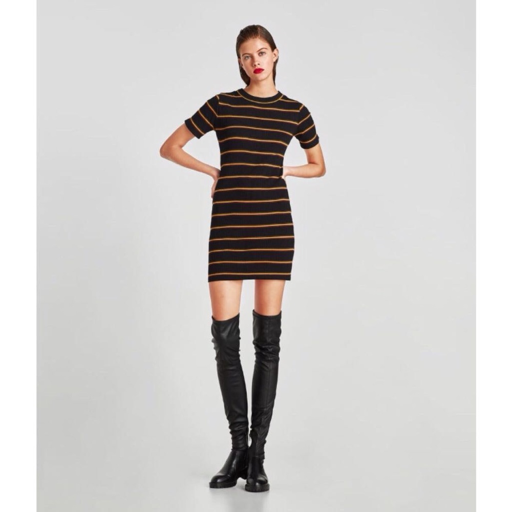 Zara striped bodycon mini. Sz Small. NWT.